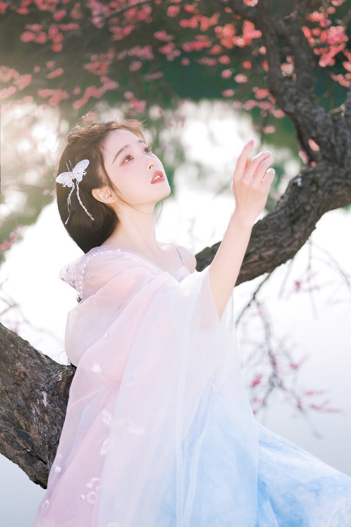繁花 封面