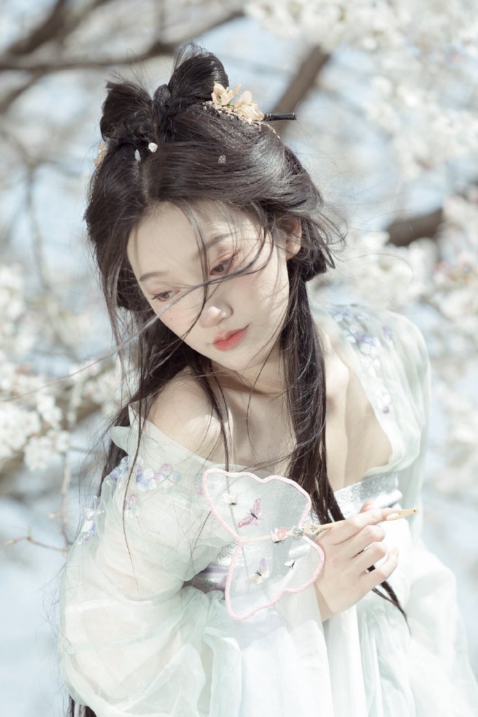 长月烬明 封面